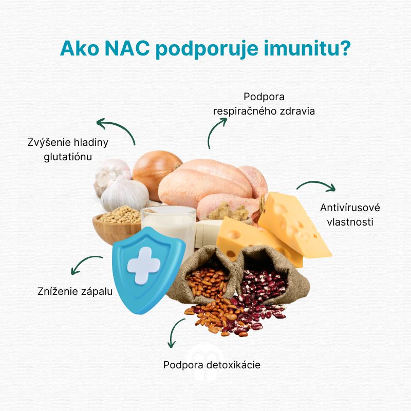 (Slovenčina)  Jak NAC podporuje imunitu